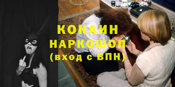 стаф Аркадак