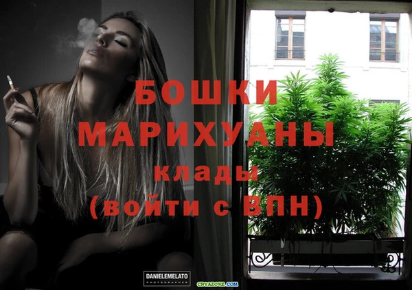 сатива Армянск
