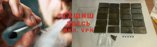 стаф Аркадак
