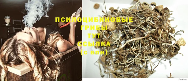эйфоретик Арсеньев