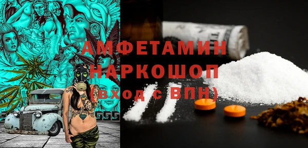 стаф Аркадак