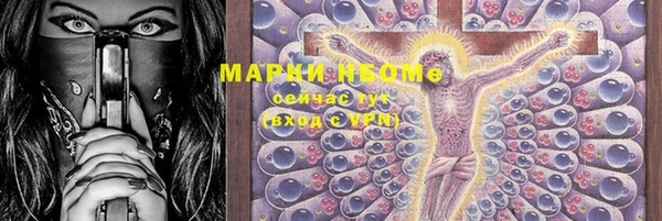 стаф Аркадак