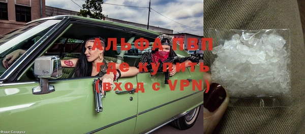 сатива Армянск