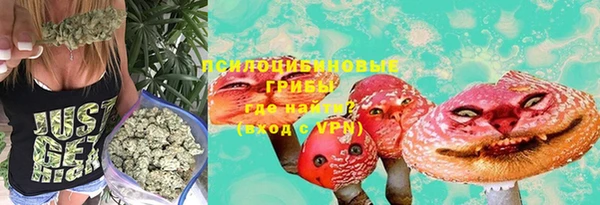 стаф Аркадак