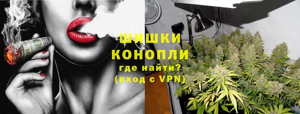 сатива Армянск