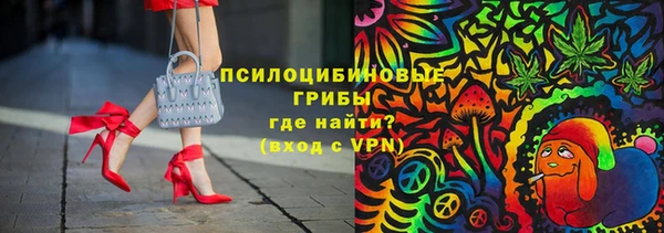 эйфоретик Арсеньев