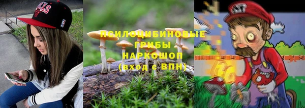 стаф Аркадак
