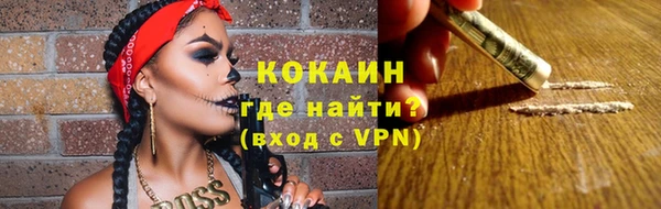 стаф Аркадак
