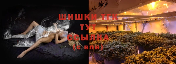 эйфоретик Арсеньев