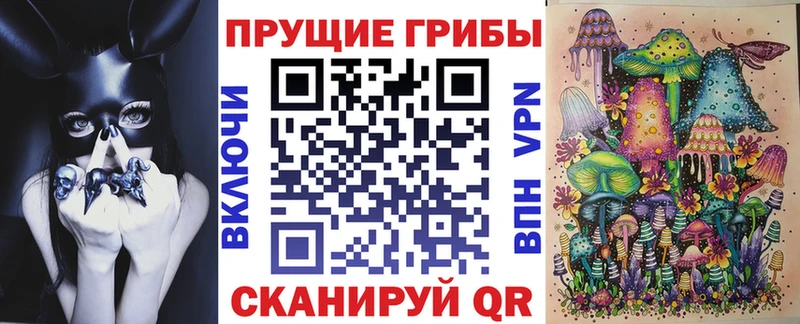 MEGA tor  Бакал  Галлюциногенные грибы Psilocybe 