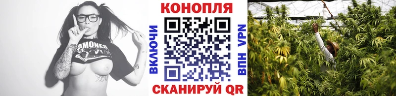 Бошки марихуана Bruce Banner  гидра как войти  Бакал 
